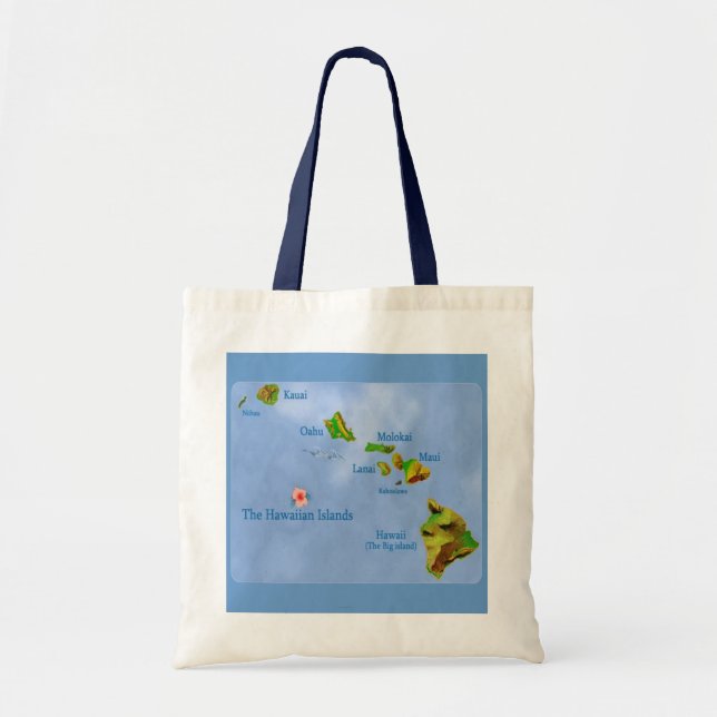 Blåhawaiian karta tote bag tygkasse (Framsidan)