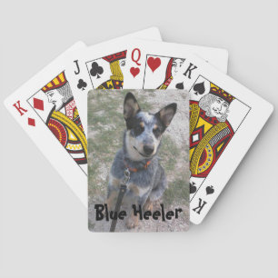 BlåHeelers lekkortsdäck Spelkort