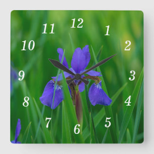 Blåholländska bland Löv Wall Clock Fyrkantig Klocka