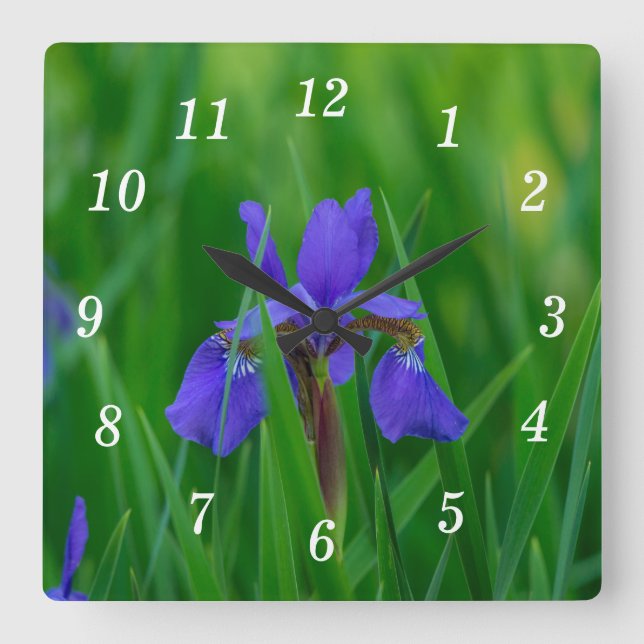 Blåholländska bland Löv Wall Clock Fyrkantig Klocka (Framsida)