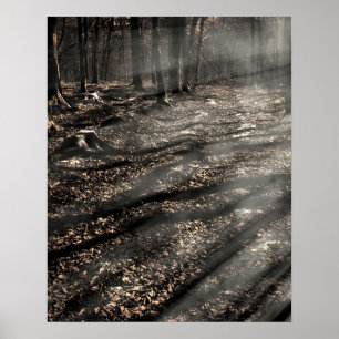 Blair Witch...Där borta! Poster