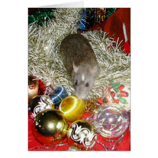 Blaize och Baubles Hälsningskort