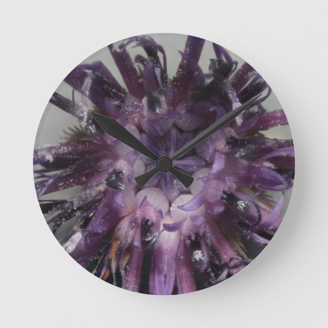 Blåklintet tar tid på ansikte rund klocka (Framsida)