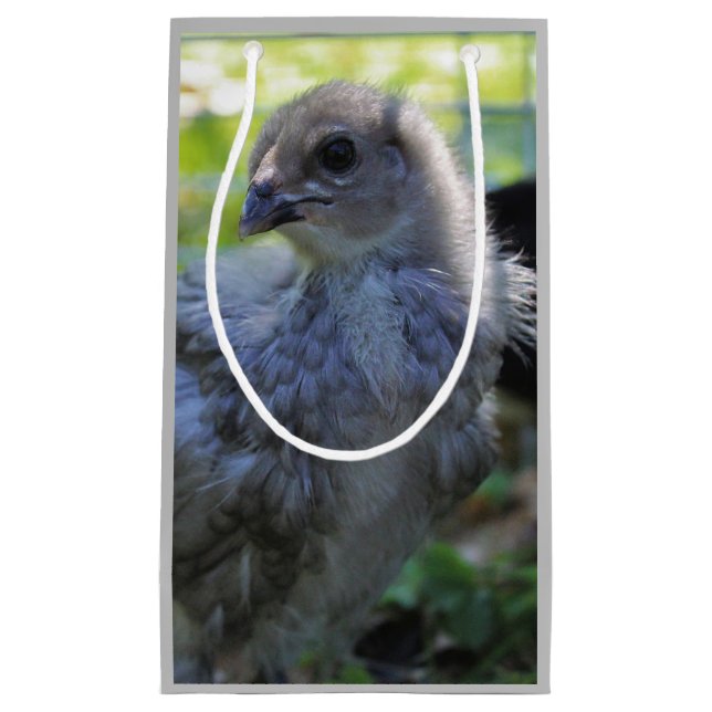 Blåklocka (Framsidan)