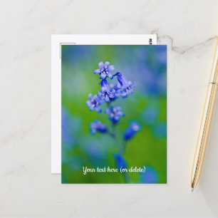 Blåklocka blomma vykort