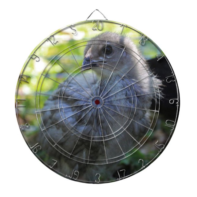 Blåklocka Darttavla (Framsidan)