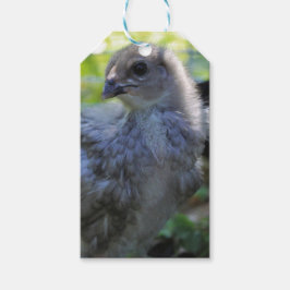 Blåklocka Presentetikett