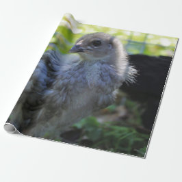 Blåklocka Presentpapper