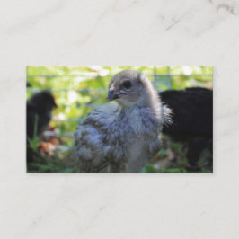 Blåklocka Visitkort