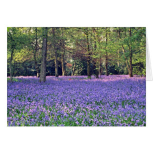 Blåklockaskogen, England blommor Hälsningskort