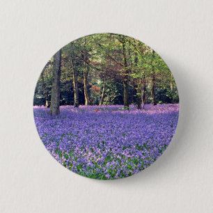 Blåklockaskogen, England blommor Knapp