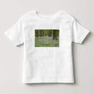 Blåklockor och ekar på våren, Little Hagley T-shirt