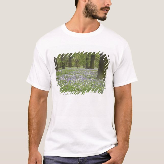 Blåklockor och ekar på våren, Little Hagley Tee Shirt (Framsida)