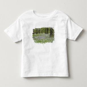 Blåklockor och ekar på våren, Little Hagley Tröja