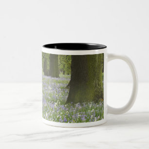 Blåklockor och ekar på våren, Little Hagley Två-Tonad Mugg