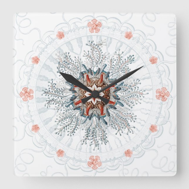 Blåknappar, maneter och stjärnor fyrkantig klocka (Framsida)