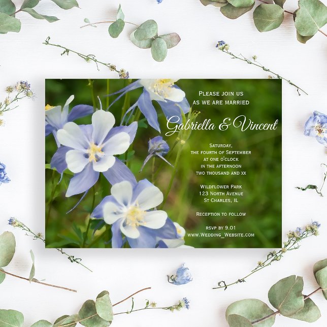 Blåkolumbine Flowers Bröllopsinbjudan Inbjudningar (Skapare uppladdad)