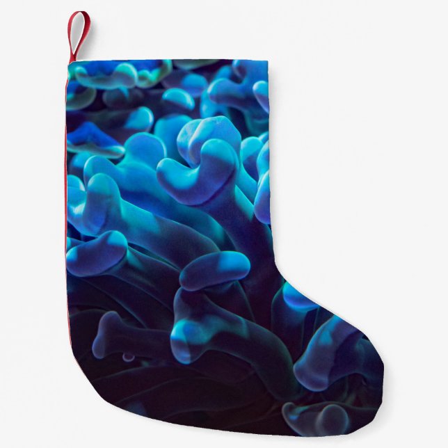 Blåkorall Liten Julstrumpa (Framsidan)