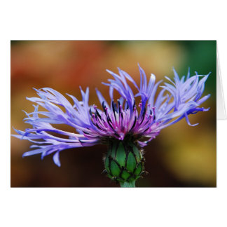 Blåkort för berg hälsningskort