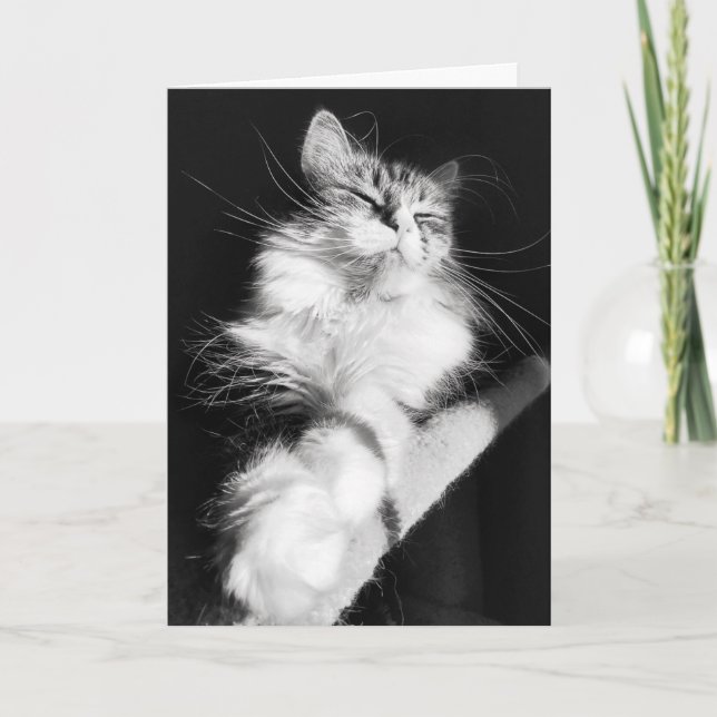 Blåkort för födelsedag kort (Framsida)