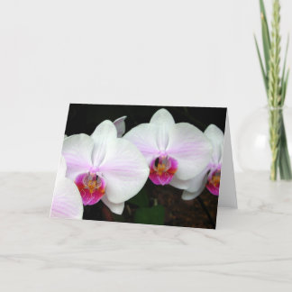 Blåkort för Orchids Greeting Card Kort