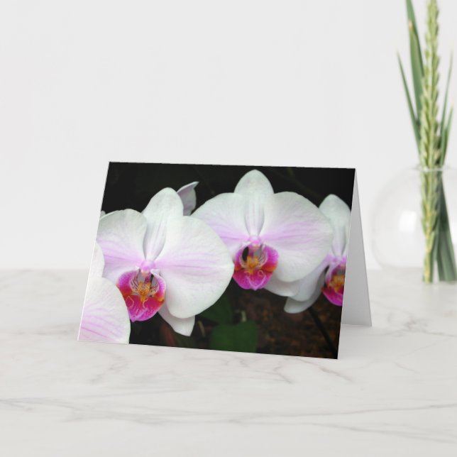 Blåkort för Orchids Greeting Card Kort (Framsida)