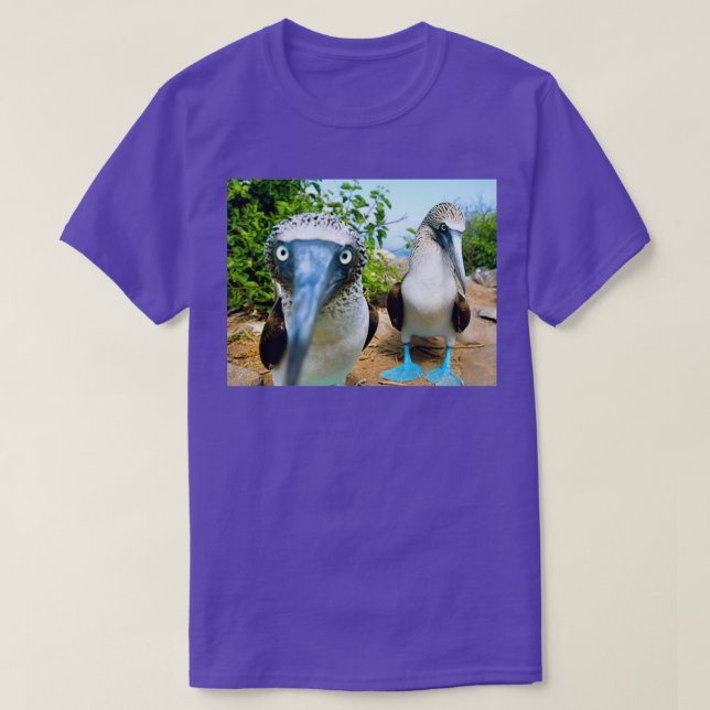 Blåkotad booby t shirt (Design framsida)