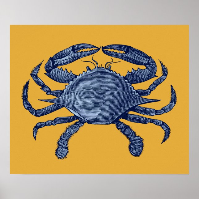 Blåkrabba Poster (Framsidan)