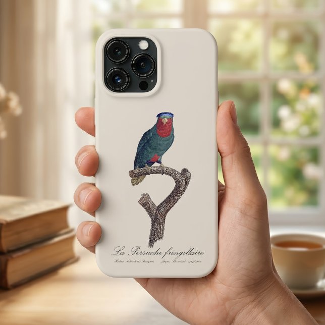 Blåkronad lorikit, Vini Australis (Blue-Crowned Lorikeet, Vini Australis. iPhone Case)