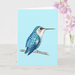 Blåkubansk bee Hummingbird Illustration Kort