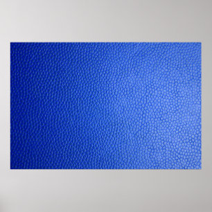 Blåläderskinn, struktur poster