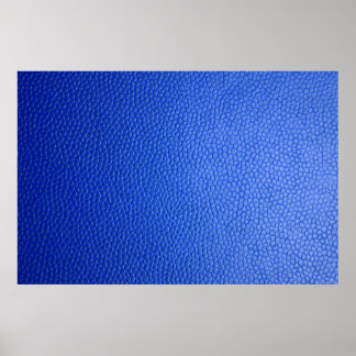 Blåläderskinn, struktur poster