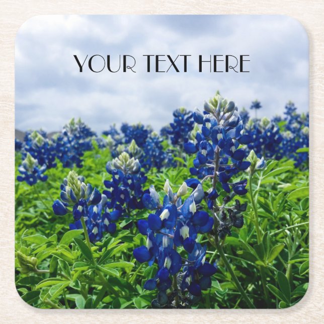 Blålockar Blå Blommor Texas Texan Blommig Underlägg Papper Kvadrat (Framsidan)