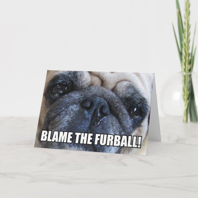 BLAME FURBALL! | ALLERGY MEME KORT (Framsida)