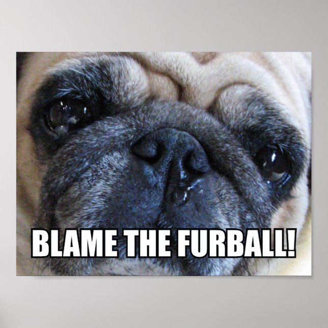 BLAME FURBALL! ALLERGY MEME POSTER (Framsidan)