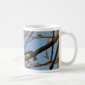 Blåmes Kaffemugg