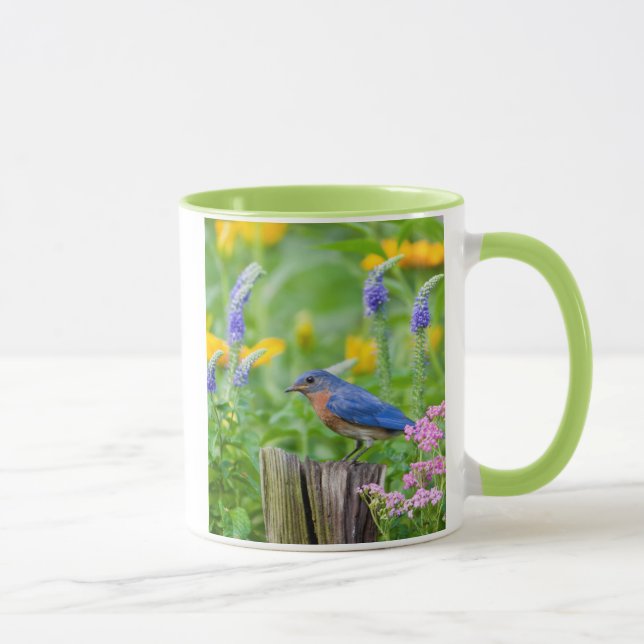 Blåmeshanne på staketstolpe i blomsterträdgård mugg (Höger)