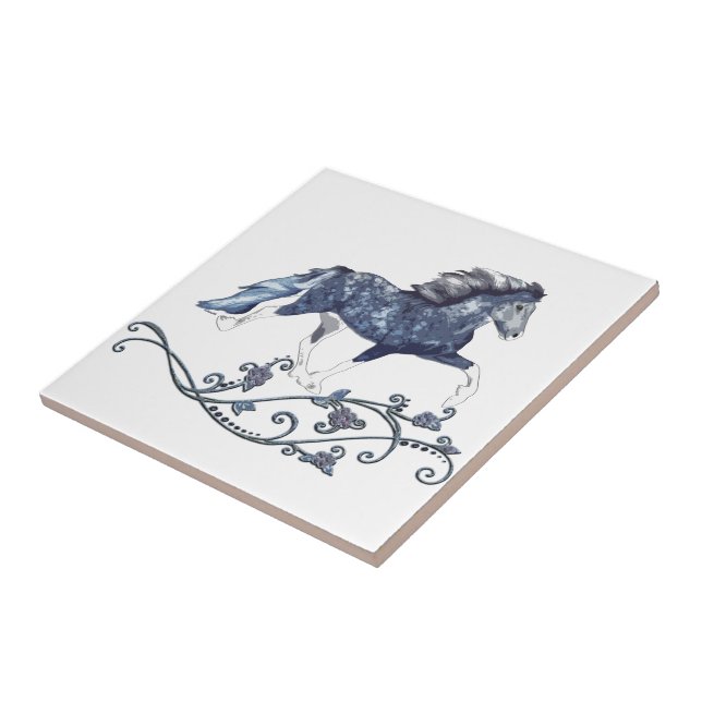 Blámóða Kakelplatta (Sidan)