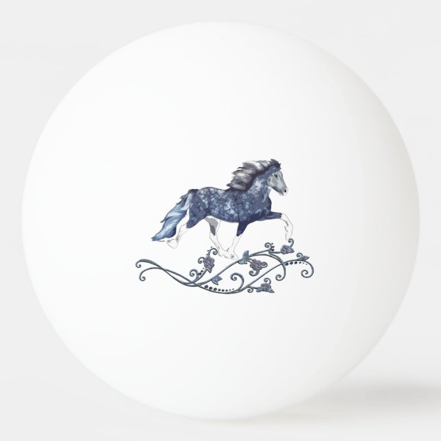 Blámóða Pingisboll (Framsidan)