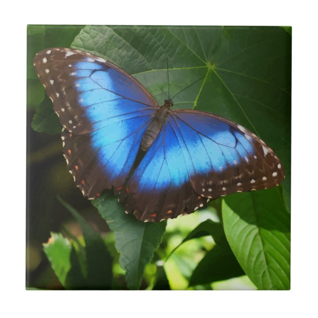 Blåmorfo Butterfly Kakelplatta (Framsidan)