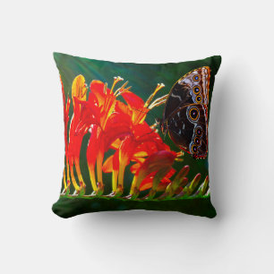 Blåmorfobutterfluga på blommor från Crocosmia Luci Kudde