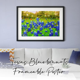 Blånät av Texas Rustic Blue Wildblommor Poster