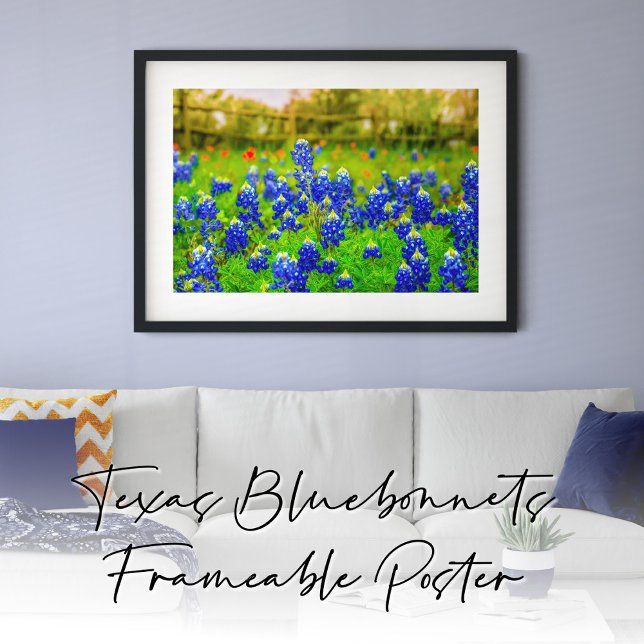 Blånät av Texas Rustic Blue Wildblommor Poster (Texas Bluebonnets Frameable Poster)