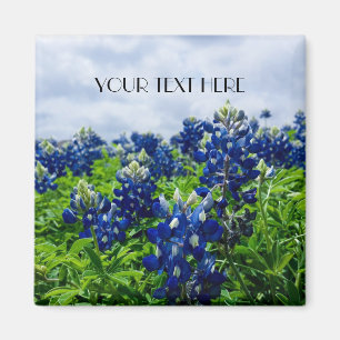 Blånät Blåa blommor Texas texan Blommigt Magnet