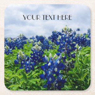 Blånät Blåa blommor Texas texan Blommigt Underlägg Papper Kvadrat