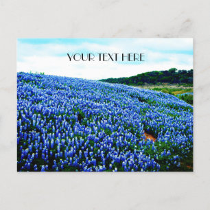 Blånät Blåa blommor Texas texan Blommigt Vykort