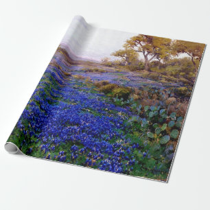 Blånät i Twilight, norr om San Antonio Presentpapper