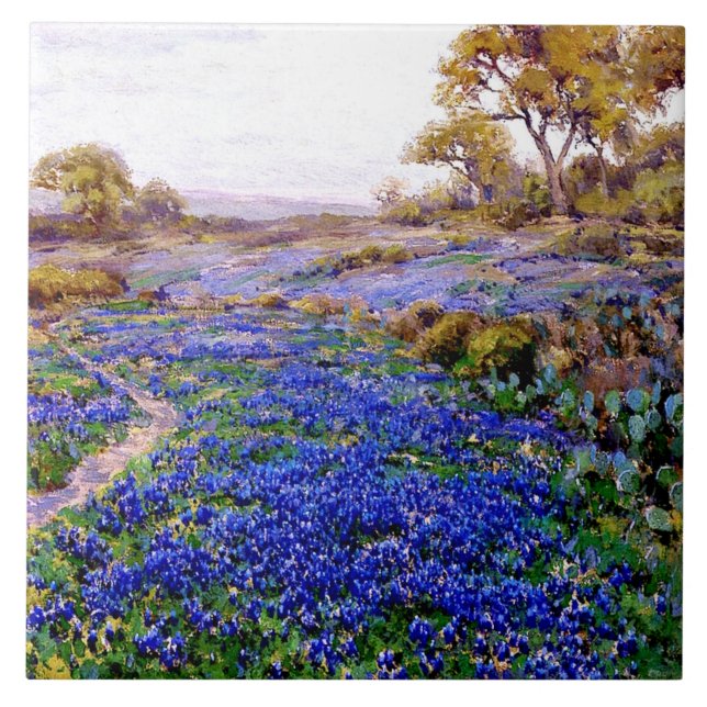 Blånät i Twilight, norra San Antonio, Kakelplatta (Framsidan)