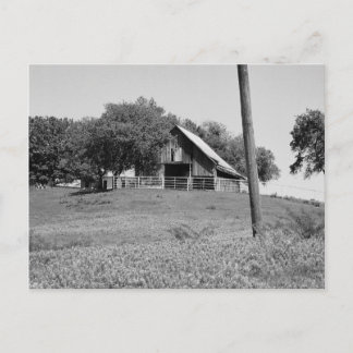 Blånät i Vår Vykort