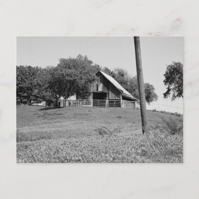 Blånät i Vår Vykort (Framsida)